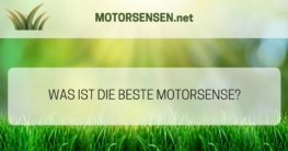 Was ist die beste Motorsense