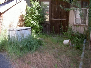 Mit einer Motorsense kann man Wildwuchs im Garten einfach entfernen Mit einer Motorsense kann man Wildwuchs im Garten einfach entfernen