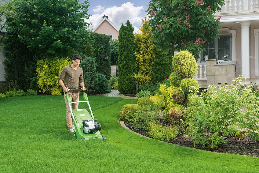 Dichter und gesunder grüner Teppich: So wünscht sich wohl jeder den Rasen im eigenen Garten. Die richtige Pflege trägt entscheidend dazu bei.