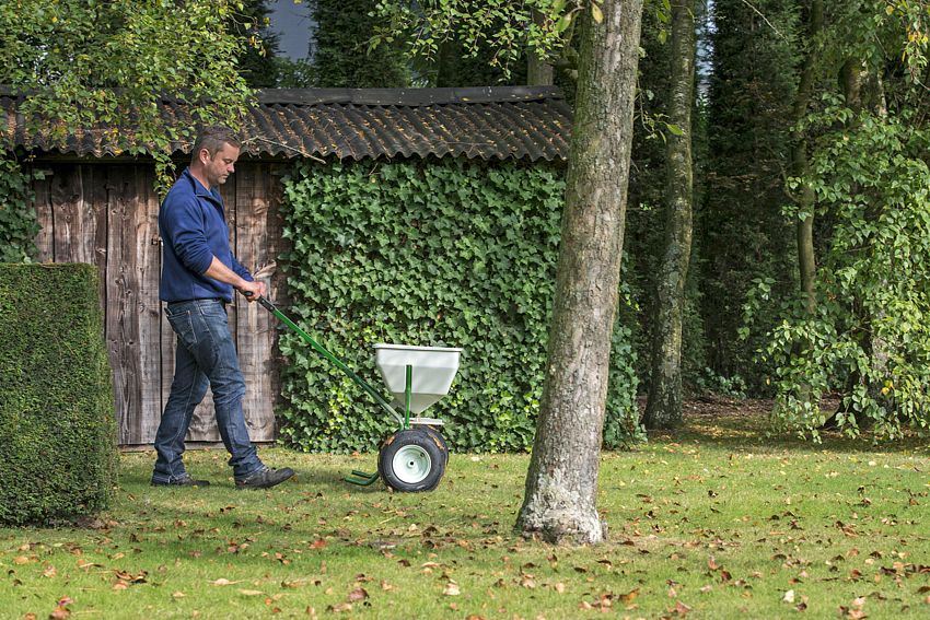 Gerade zum Herbst braucht der Rasen nochmals einige Pflegeeinheiten, um gut durch die kalte Jahreszeit zu kommen. Foto: djd/DCM - Deutsche CUXIN Marketing GmbH