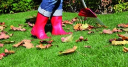 txn. Wichtig: Im Herbst das Gras und den Boden stärken, damit die Rasenfläche optimal auf die Belastung des Winters vorbereitet ist. Foto: Neudorff/txn