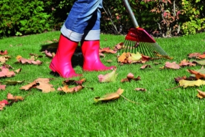 txn. Wichtig: Im Herbst das Gras und den Boden stärken, damit die Rasenfläche optimal auf die Belastung des Winters vorbereitet ist. Foto: Neudorff/txn