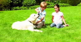 txn. Spielende Kinder oder tobende Hunde sind für einen kräftigen, gesunden Rasen auf nährstoffreichem Boden kein Problem. Foto: Neudorff/txn