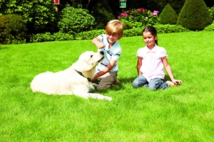 txn. Spielende Kinder oder tobende Hunde sind für einen kräftigen, gesunden Rasen auf nährstoffreichem Boden kein Problem. Foto: Neudorff/txn