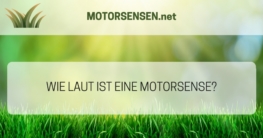 Wie laut sind Motorsensen, Freischneider und Rasentrimmer?